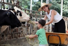 연 매출 8억…30대 초반 자매 목장주의 성공기