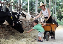 연 매출 8억…30대 초반 자매 목장주의 성공기