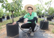 “회사 월급보다 농사 벌이가 더 좋아” 강화 ‘강소 농부’ 형제