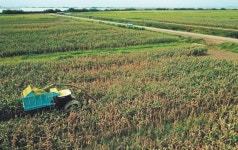 자연순환형 친환경 낙농이 뜬다!