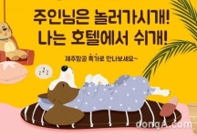 ‘애견인’ 위한 배려… 제주항공, 애견호텔 요금 할인 서비스