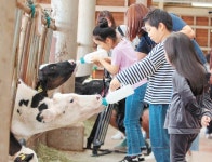 가족과 함께 1박 2일 유기농 목장 체험 즐긴다
