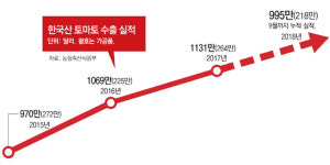 스마트팜이 되살린 토마토 수출… 日시장점유율 53%로 1위