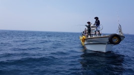 가족들은 뒷전? ‘아재 낚시’는 옛말…“나도 ‘도시어부’처럼”