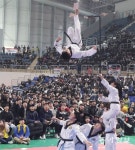 태권도 시범공연