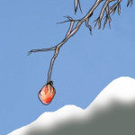 [나민애의 시가 깃든 삶]〈173〉하늘과 땅 사이에