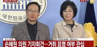손혜원, 탈당 선언 “당에 부담주지 않고 해결할 것…SBS, 한 사람 죽이려고 해”