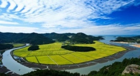 먹거리 넘어 자연보호까지… 전남, ‘친환경 1번지로’ 우뚝