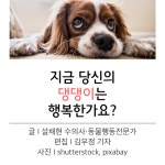 지금 당신의 댕댕이는 행복한가요? 반려인이 꼭 알아야 할 펫티켓