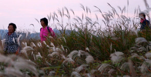 [눈과 귀가 즐거운 문화생활]영화 시인 할매 外