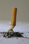 담배꽁초 폐지 더미에 버린 결과…어린이집 원생 120명 대피 ‘식겁’