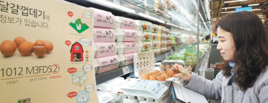 “산란일자 보고 달걀 고르세요”