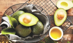 [신문과 놀자!/환경 이야기]전 세계인 사랑받는 아보카도… 멕시코엔 축복 아닌 비극