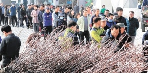 “푸른산 가꿔요”… 유실수 무료 나눔