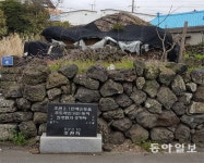 “같이죽자, 만만세”… 미밋동산서 조천장터까지 나흘연속 시위