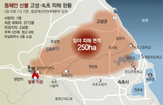 “내 삶이 다 타버렸다” 잿더미 강원의 눈물