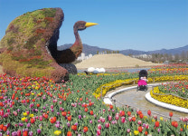 순천만국가정원, 순천 관광객 1000만명 시대 이끈다