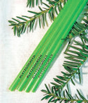 플라스틱 OUT! 빨대의 ‘착한 변신’