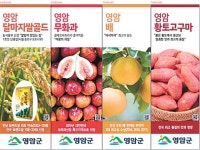 귀농귀촌인에게 원스톱 정착 서비스 지원