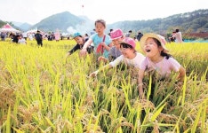 전북 완주군, 맨손으로 물고기 잡아 화덕구이… ‘야생의 맛’ 체험