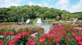 축제 축제 축제… “부울경은 지금 축제 중”