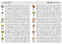 [오늘의 운세/5월 31일]