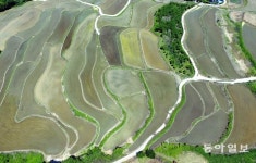 [청계천 옆 사진관] 지리산 구례군 산동면 사포마을 다랭이 논