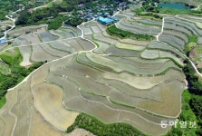 [청계천 옆 사진관] 지리산 구례군 산동면 사포마을 다랭이 논