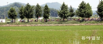 [청계천 옆 사진관]‘투르드코리아 2019’ 다채로운 초반 레이스 살펴보니…