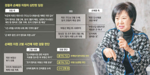 손혜원, 목포 도시재생 상세계획 넘겨받은 뒤 부동산 집중매입