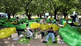 [휴일 한 컷]숲 속에서 꿀잠 자요