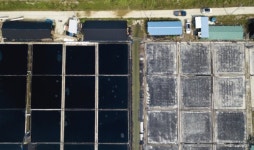 [르포] 염전 갈아 엎고 농민 생존 위협하는 영광·신안 태양광발전소