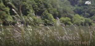 “요정들 사는 곳 같아”…핑클이 찾은 ‘용담섬바위’ 관심UP