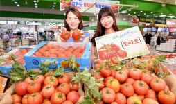 “영양 많은 국산 찰토마토입니다”