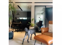 개 편한 세상, 활짝 열린다