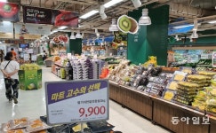 시련의 대형마트… 매장 혁신-전문점 강화로 돌파구 찾을까