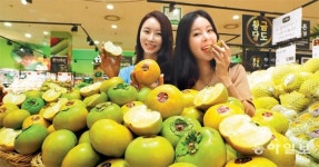 “가을의 선물 ‘태추 단감’ 맛보세요”