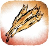 명태는 언제쯤 돌아올까[김창일의 갯마을 탐구]〈33〉