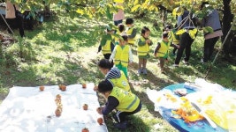 화창한 가을… ‘농촌’으로 알뜰여행 떠나요