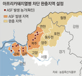 경기 연천서 ASF 14번째 확진…48시간 이동중지명령