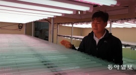 흙 한점 없는 바닥… 로봇이 온도 조절… 실험실인지 농장인지