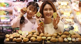 농업회사법인알쎄븐(주)산수골스테비아 | “더 달콤해진 스테비아 키위 맛보세요”