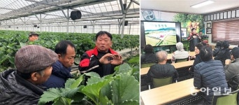 15개동 7300m² 딸기 하우스 관리, 부부와 직원 3명이면 OK