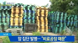 ‘집단 암 발병’ 익산 장점마을 주민들, 항의 집회…“대책 마련하라”