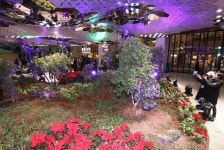 [퇴근길 한 컷]지하보도의 변신…종각역 ‘태양의 정원’ 탄생