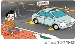 [신문과 놀자!/주니어를 위한 칼럼 따라잡기]겁나는 도로