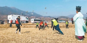 평사리 들판서 ‘논두렁 축구대회’ 열린다