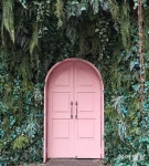 핑크 문을 열면[고양이 눈]