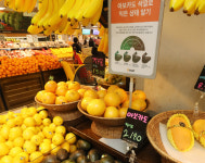 마트의 반격, 수산코너 ‘어시장’ 온듯 펄떡… 신선매장 ‘체험형’으로