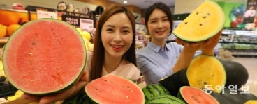 “작아도 맛은 뛰어나요” 1인 가구용 수박 인기
